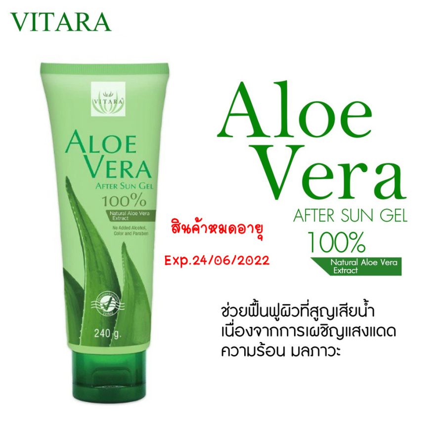 Aloe Vera 3